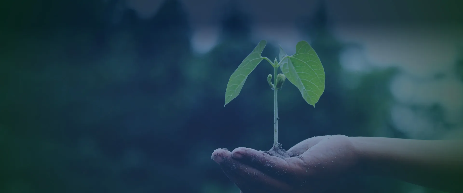WE FOCUS ON SUSTAINABLE DEVELOPMENT BECAUSE WE CARE